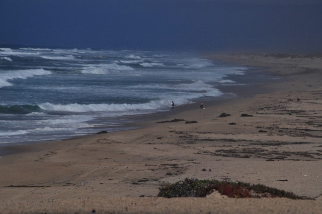 Marina beach